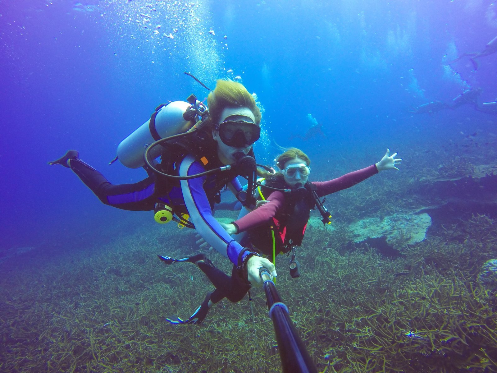 Best scuba diving experience in Doha with top underwater views